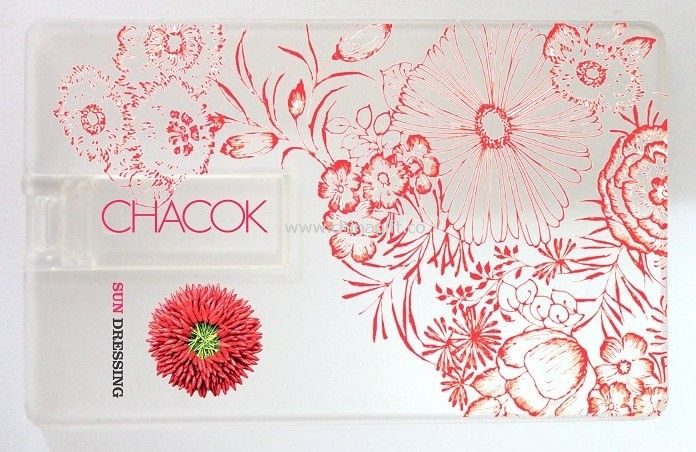 Transparent card U disk