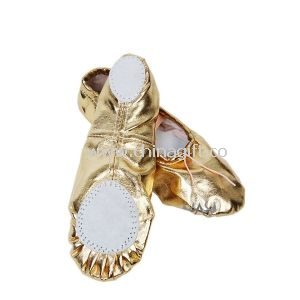 Belly Dance Footwear