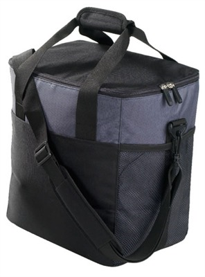 Trendy Cooler Bag