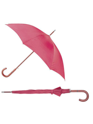 Boutique Auto paraguas