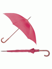Boutique Auto Umbrella images