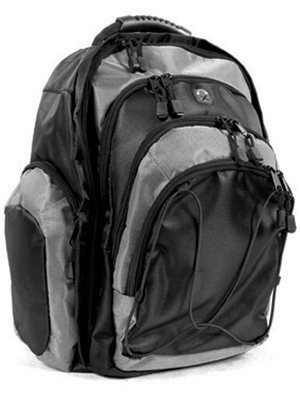 Adventurer Computer Backpack