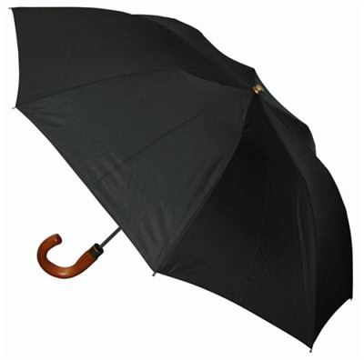 Parapluie de Baxter