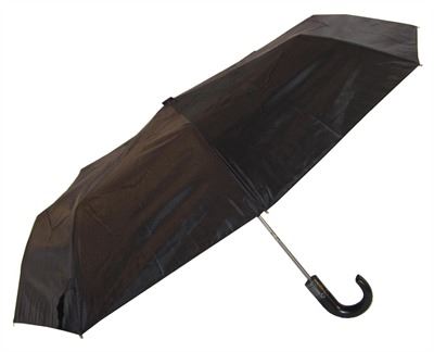 Кондор зонтик