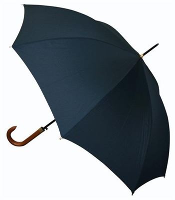 Wyróżniająca parasol