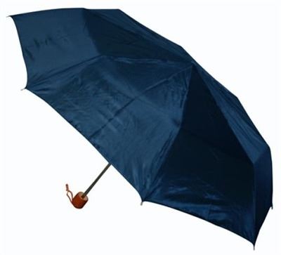 Drake Umbrella
