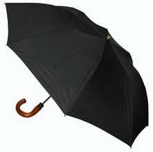 Baxter Umbrella images