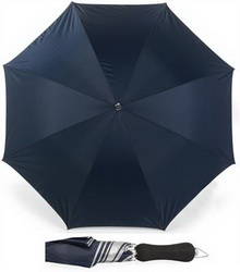 Sølv foret paraply images