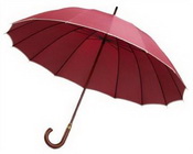 Panoul de 16 umbrelă images