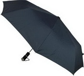 Bernstein-Regenschirm images