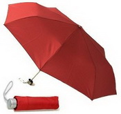 Rainy Day Umbrella images