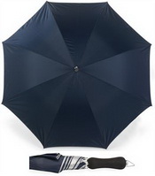 Silber ausgekleideten Regenschirm images