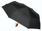 Waratah guarda-chuva images