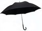 Tolnai esernyő small picture