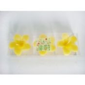 A mano bellissimi fiori gialli galleggianti candele Set images