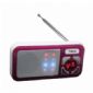 Custom High Fidelity Horn USB Card and LED Rechargeable Mini Speakers with FM Radio small picture