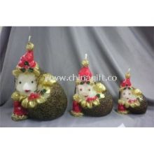 Hedgehod Shaped Candle images