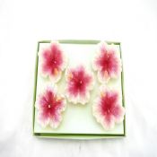 Peach blossom candle images