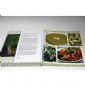 Customized Professional CookBook Printing A4 UV Coating , Eco-friendly small picture