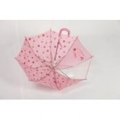 Transparent Lace Parasol Umbrella images