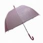 23-inch x 8K Transparent Umbrella with Auto Open small picture