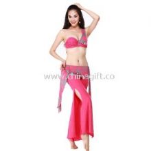Fashion Red Belly Dance Costumes for Practice Top + Pants + Small Capelet images