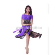 Flexible Silk Belly Dance Practice Costumes With Classical Printing Pattern images