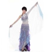 Glittering Belly Dance Practice Wear / Veil images