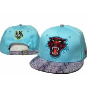 Penrith Panthers topi images
