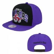 Toronto Raptors Snapback chapeaux images