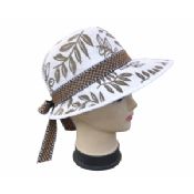 Ευρύ καπέλο Fedoras images