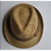 Sombreros del invierno para los hombres images