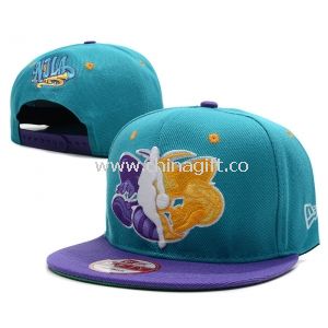 Нью-Орлеан Хорнетс НБА Snapback шляпы