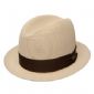 Flat brim hats small picture
