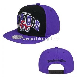 Toronto Raptors Snapback şapka