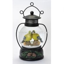 Decorative musical Water/Snow Globes with birds in the ball images