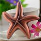 metal starfish bottle opener small picture