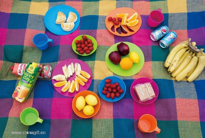 colorful pp dry fruit plate